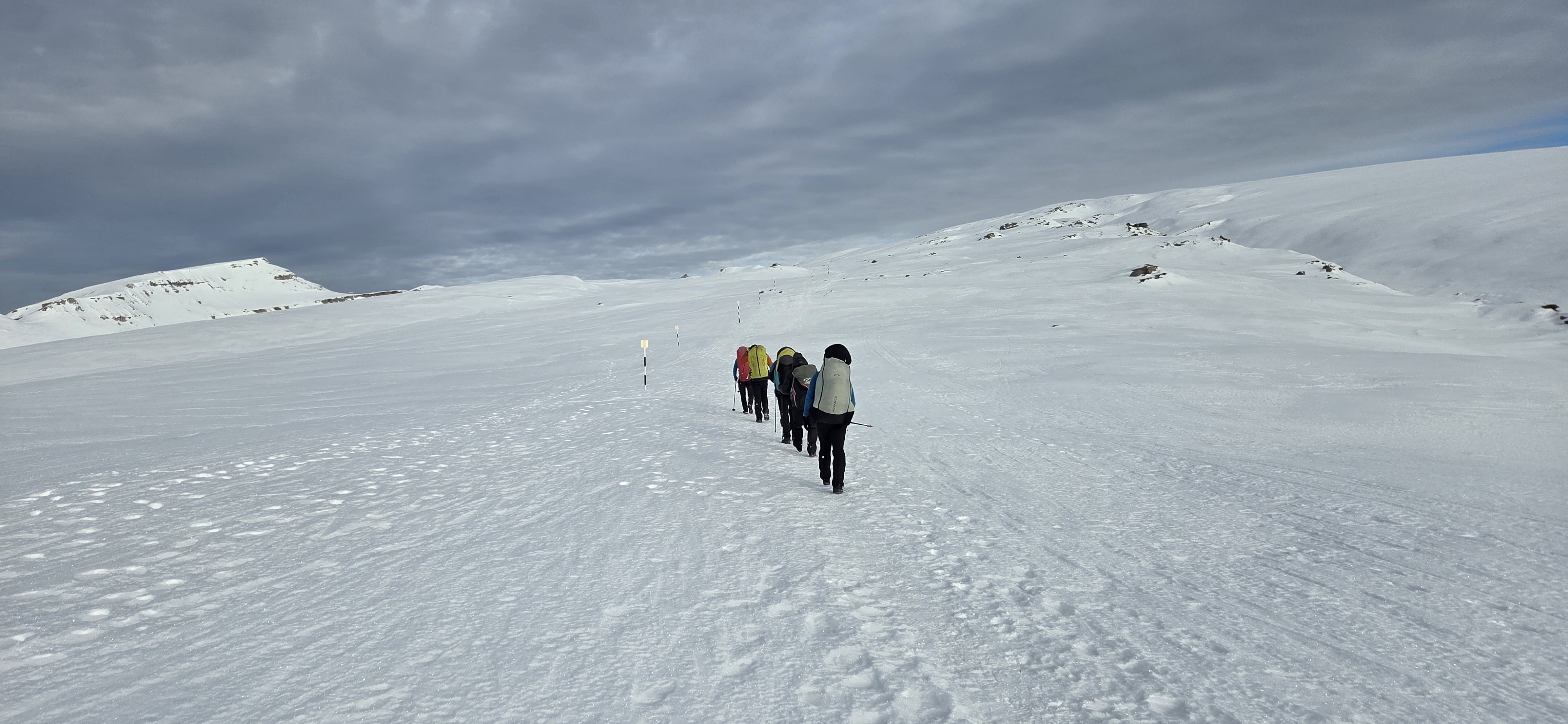 Pe Platoul Bucegilor